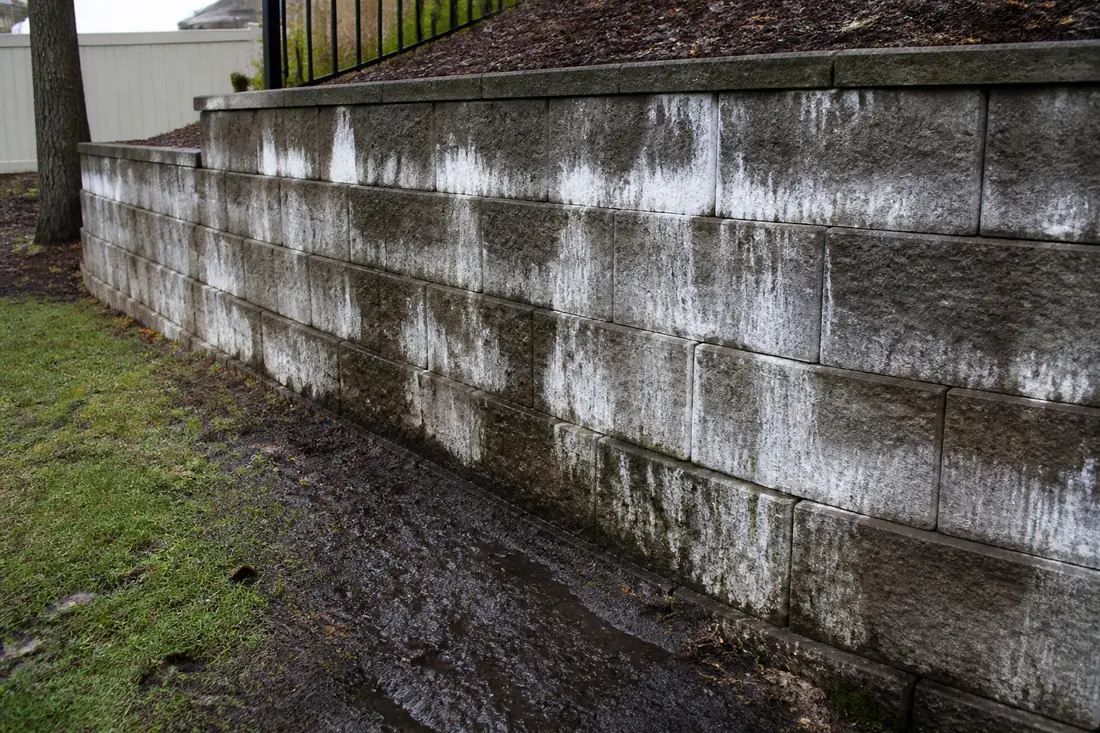 Retaining Wall Drainage Problems project